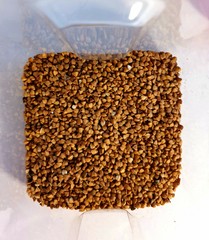buckwheat inside the jar