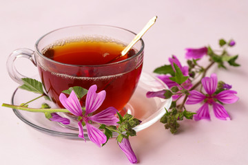 mallow herb and mallow flower tea in cup.