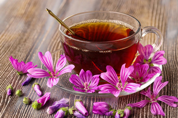 mallow herb and mallow flower tea in cup.