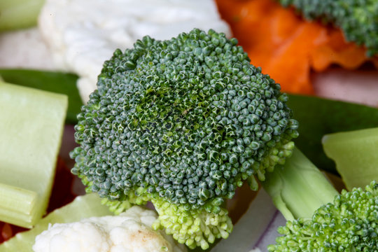 Close Up Vegetables