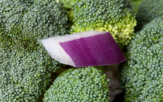 Close Up Vegetables