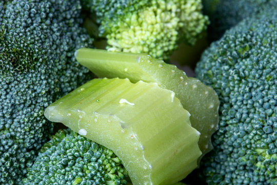 Close Up Vegetables