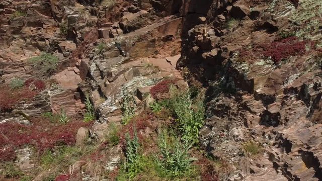 Moseltal bei Valwig,  Apolloweg im Fr&uuml;hling, Weinbau und Brachen