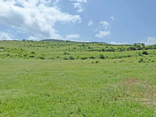 Fototapeta na wymiar Meadow in Central Bulgaria