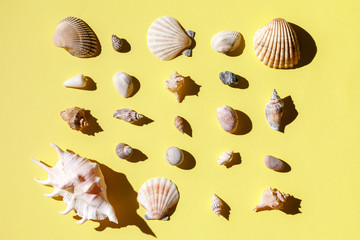 Seashells, starfish and sea rock collection on yellow background. Natural seashore textured surface, top view, copy space. Minimal simple summer time concept.