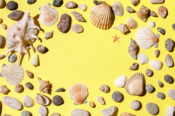 Seashells, starfish and sea rock frame on yellow background. Natural seashore textured surface, top view, copy space. Minimal simple summer time concept.