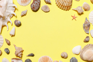 Seashells, starfish and sea rock frame on yellow background. Natural seashore textured surface, top view, copy space. Minimal simple summer time concept.