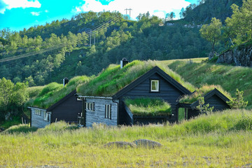 Norwegia - Skandynawia 2019 (Norwyy) © Daniel