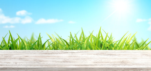 Spring background with fresh grass and white wooden table. Spring apple garden on the background