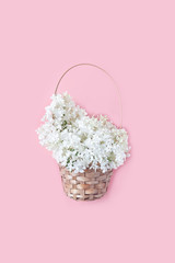 summer concept. white hydrangea flowers in a wicker basket on a pink background. flat lay, vertical frame