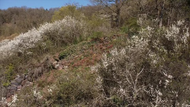 Moseltal bei Valwig,  Apolloweg im Fr&uuml;hling, Weinbau und Brachen