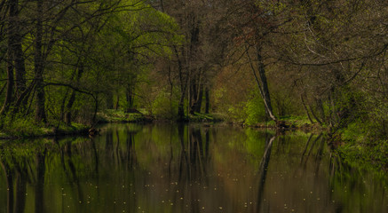 Blanice river with color green trees near weir in Bavorov town