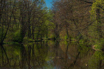 Fototapeta na wymiar Blanice river with color green trees near weir in Bavorov town