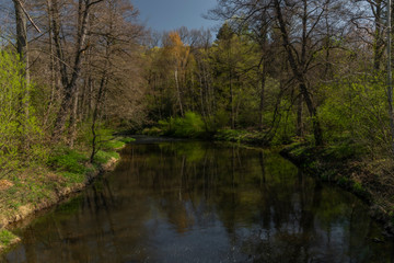 Fototapeta na wymiar Blanice river with color green trees near weir in Bavorov town