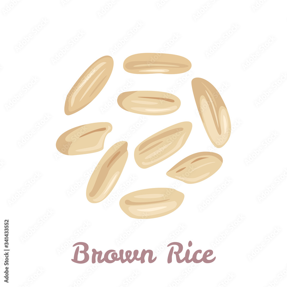 Wall mural Brown rice grain isolated on white background. Vector illustration of unpolished rice seeds in cartoon flat style. Healthy organic food icon.