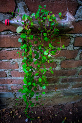 Zero Waste Naturaleza Urbana con Reciclaje