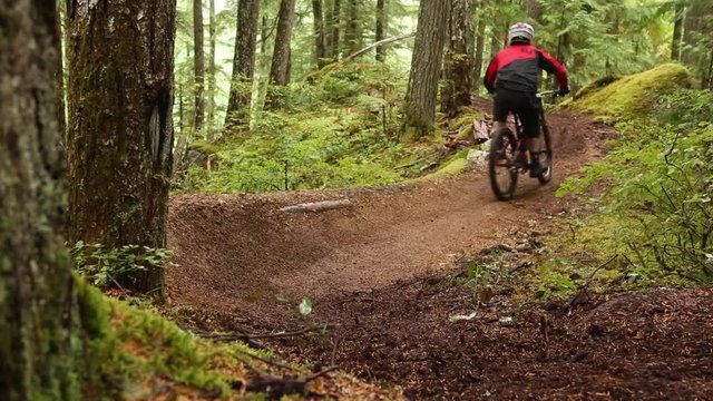 Man riding downhill mountain bike in Whistler forest.
