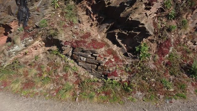 Moseltal bei Valwig,  Apolloweg im Fr&uuml;hling, Weinbau und Brachen