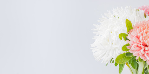 Petals of white and pink flowers closeup on a light background