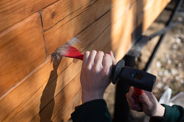 The process of warming a wooden house from timber, by caulk jute. caulk and hammer in the hands