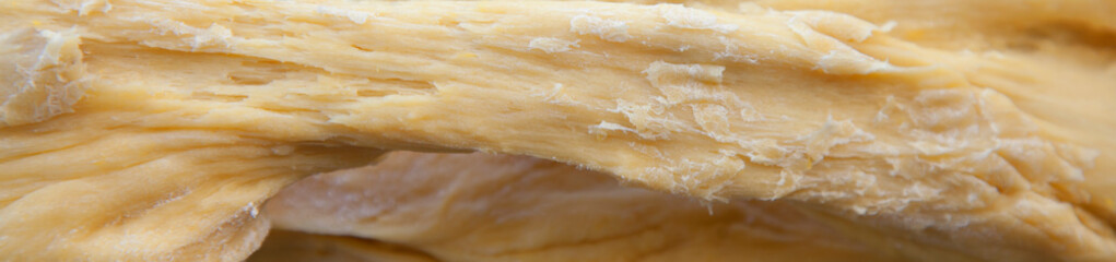 Close up raw dough texture background. Horizontal image.