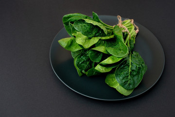 Clean food concept. Bunch of leaves of fresh organic spinach greens in a plate on a black background. Healthy detox spring-summer diet. Vegan Raw Food.