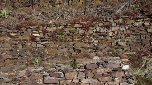 Moseltal bei Valwig,  Apolloweg im Fr&uuml;hling, Weinbau und Brachen