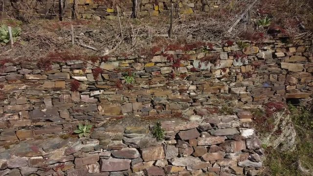 Moseltal bei Valwig,  Apolloweg im Fr&uuml;hling, Weinbau und Brachen