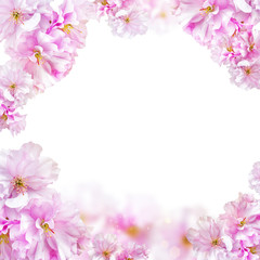 Fototapeta na wymiar Beautiful background with pink cherry flowers for your design and home decor