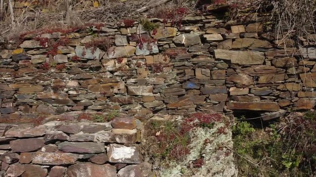 Moseltal bei Valwig,  Apolloweg im Fr&uuml;hling, Weinbau und Brachen