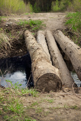 Fototapeta premium Thick logs as a crossing over a stream. Spring