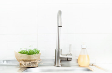 Biophilic design in the light Kitchen background. Wabi Sabi Style or Coronavirus Protection
