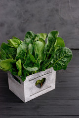 Clean food concept. Leaves of fresh organic spinach greens in a wooden box on a black background. Healthy detox spring-summer diet. Vegan Raw Food.
