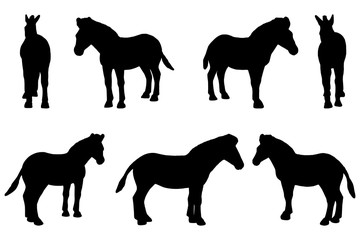 7 black and white set vector zebra silhouette isolated on white background