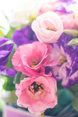 Tender white and pink eustoma flowers isolated on white background