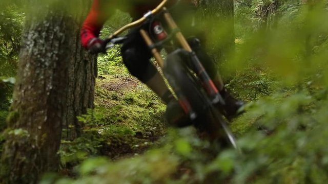 Man riding downhill mountain bike in Whistler forest.
