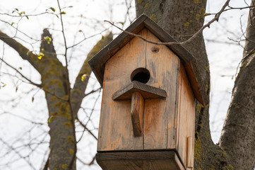 Beautiful handmade wooden birdhouse for wintering birds and squirrels