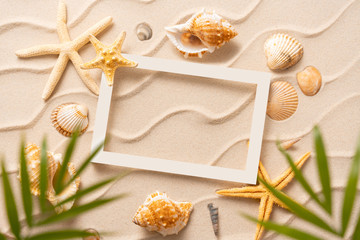 Fototapeta na wymiar summer beach background, Sand, shells, Seastar with blurred Palm, vacation and travel concept, Flat lay top view copy space