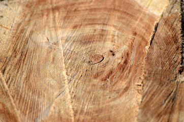 Wooden brown background, photo