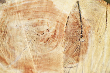 Wooden brown background, photo