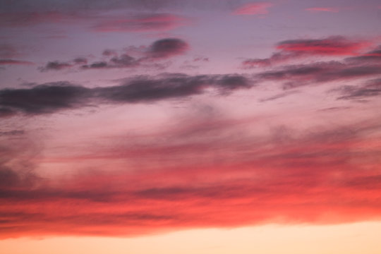 Summer sunset with pink-orange sky with clouds. © Надежда Минская