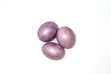 Three chicken purple eggs isolated on the white background.