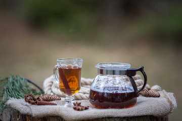 Black tea beautifully brewed in a glass teapot outdoors in the forest with natural light with cinnamon sticks, anise and spruce cones
