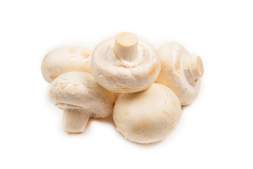 Champignon mushroom isolated on white background.