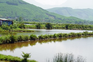 lovely landscape in the bach ma national park