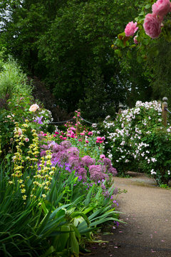 Spring In English Garden; London Hyde Park