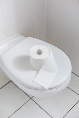 White toilet with toilet paper