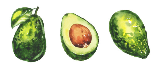 Watercolor hand painted green healthy avocado illustration set isolated on white background