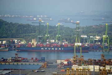 morning mood in singapores harbor
