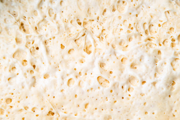 Close up of white dough for cooking bread or pizza. White round handmade dough texture